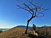 64 Svettano verso il cielo i rami spogli 